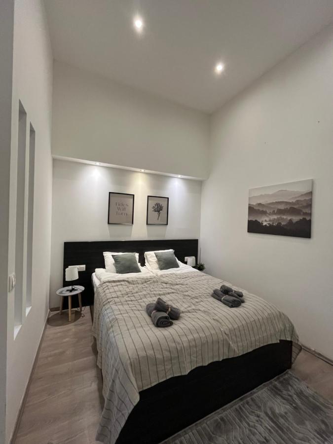 D58 Apartments In The City Center Budapest Bagian luar foto